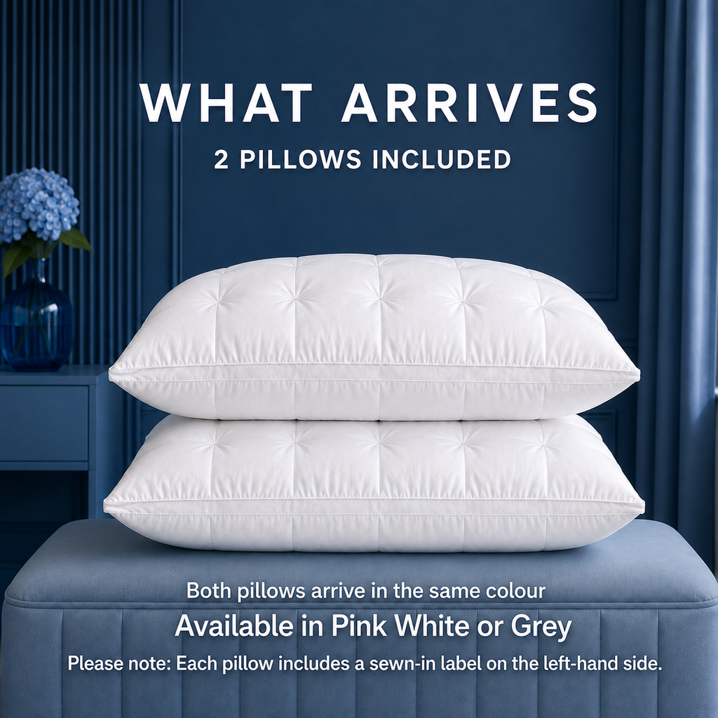 DreamCloud Goose Pillows- Set of 2